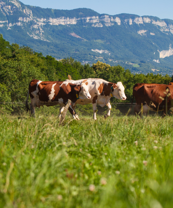 banner quienes somos